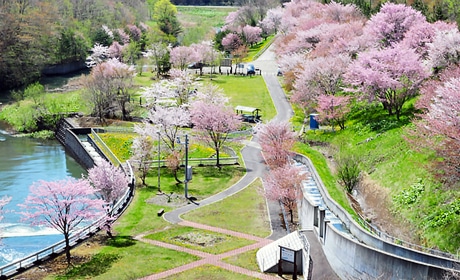 写真：様似ダム